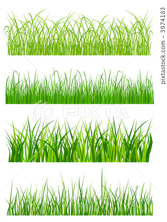 Green grass elements and patterns Green grass elements and patterns 3974183