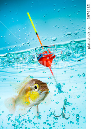 Fishing Fishing 3974485
