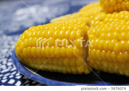 研究煮玉米 玉米 藍板 3976074