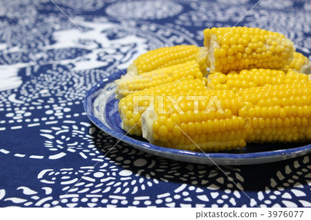 研究煮玉米 玉米 藍板 3976077