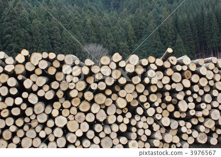 登錄林業圖像 登錄林業圖像 3976567
