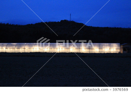 Atsumi Peninsula的Densho Kiku乙烯基房屋，帶有夜空和燈光的乙烯基房屋 3976569