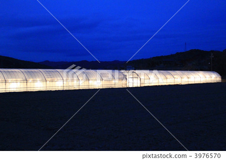 有夜空和燈光的乙烯基房子 3976570