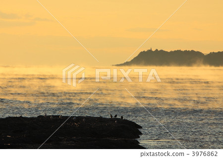 和歌山縣Koza的海霧 3976862