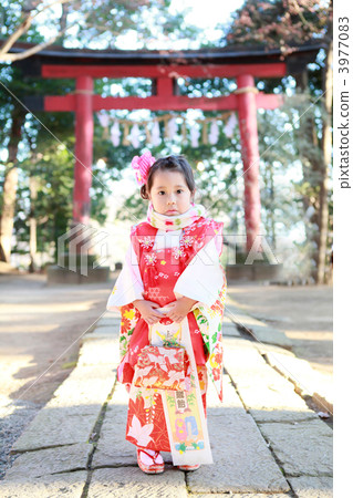 Three-year old kimono figure (Shichigosan) 3977083