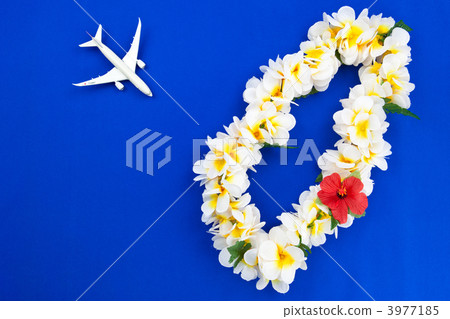 夏威夷旅遊圖片 夏威夷旅遊圖片 3977185