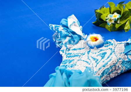 Let's dance hula dance Let's dance hula dance 3977196