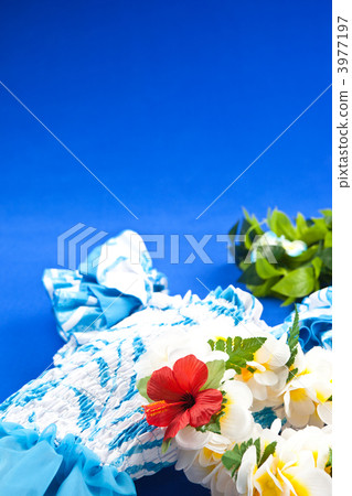 Let's dance hula dance 3977197