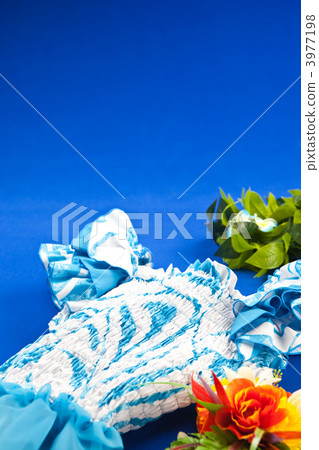 Let's dance hula dance 3977198