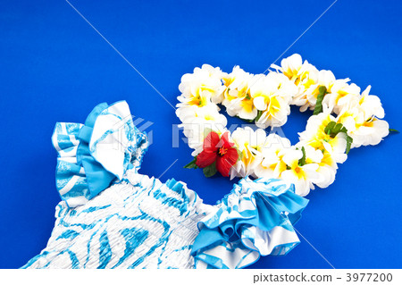 Let's dance hula dance 3977200