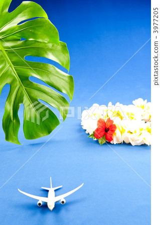 夏威夷旅遊圖片 夏威夷旅遊圖片 3977205