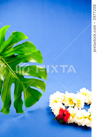 夏威夷圖像 3977208