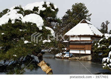 Tsuyama Taisen天堂冬天 3977401
