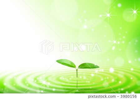 Futaba floating on the water surface 3980156