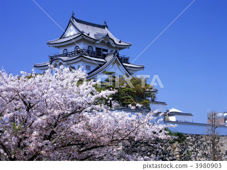 Kishiwada castle 3980903