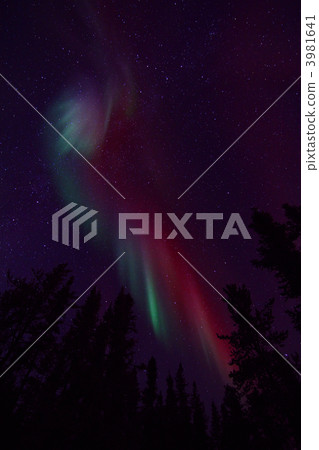 aurora, aurora boreali, northern light 3981641