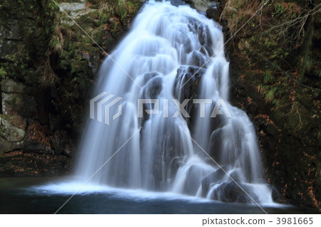 千住瀑布 3981665