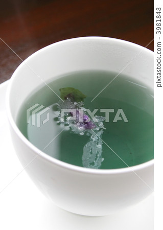 blue mallow, healthy tea, blossom 3981848