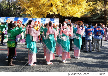 Hanagasa Ondo 3981894