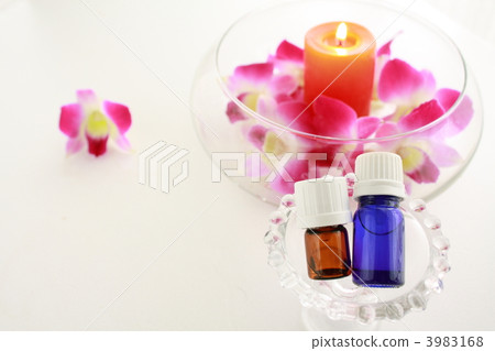 華麗的香氣 3983168