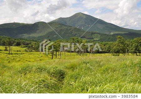 從Wakuzan草原 3983584