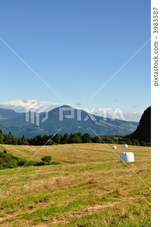 從Wakuzan草原 3983587