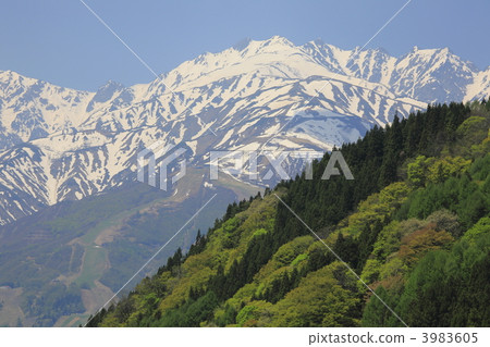 northern alps, white horse, unrefined sake 3983605