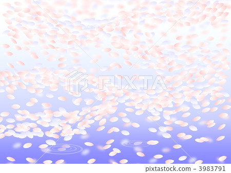 櫻吹雪 3983791