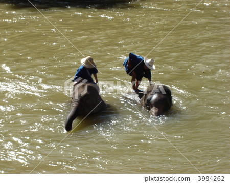 Bathing in statues 3984262