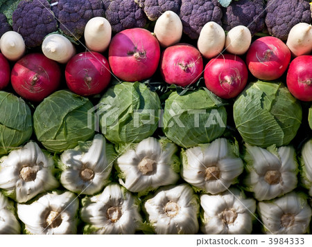 重疊 蔬菜 大白菜 3984333