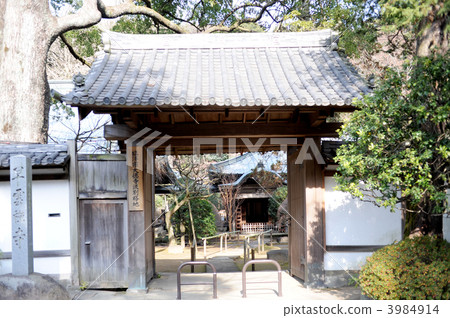 Sayunji寺門 3984914