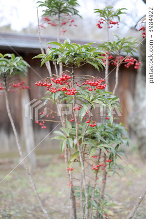 A million A million 3984922