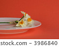 Delicious flowers 3986840
