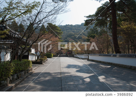 Zenlin Temple和Eikan-do的方法 Zenlin Temple和Eikan-do的方法 3986892