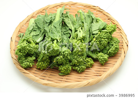 強姦開花 強姦開花 3986995