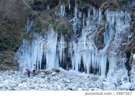 Chichibu Otaki icicle of three mallets Chichibu Otaki icicle of three mallets 3987367
