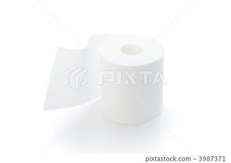 Toilet Paper  3987371