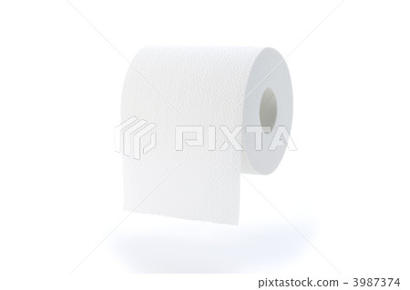 Toilet Paper  3987374