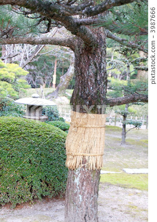 Also winding 3987666