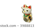 Cheek cat lucky copy space 3988813