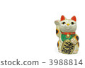 Luckily Cat Frontal Transfer Copy Space 3988814