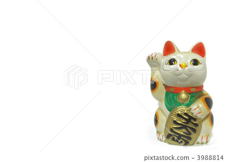 Luckily Cat Frontal Transfer Copy Space 3988814