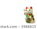 Cheek cat lucky copy space 3988815