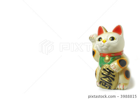 Cheek cat lucky copy space 3988815