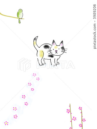 貓和梅花 3989206