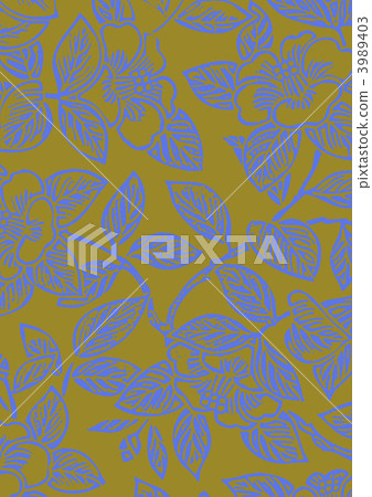 camellia sasanqua, camellia hiemalis, rose of winter 3989403