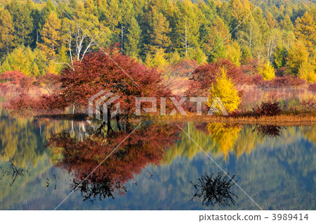 odashirogahara, lake, loch 3989414