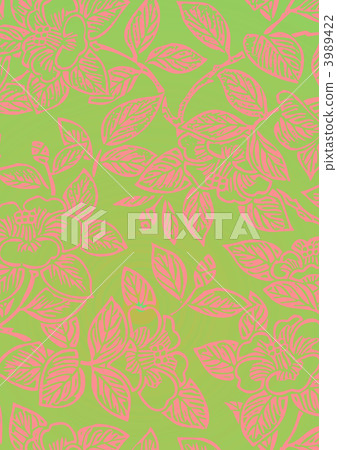 茶梅 茶花凍土 冬天的玫瑰 3989422