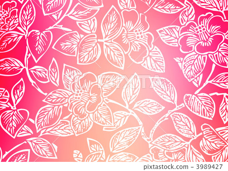 茶梅 茶花凍土 冬天的玫瑰 3989427