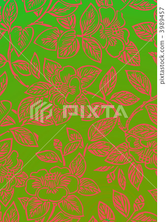 茶梅 茶花凍土 冬天的玫瑰 3989457